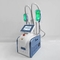 Da máquina ultrassônica 650nm Lipo da beleza da cavitação de Cryolipolysis 40k Rf emagrecimento gordo do gelo do laser